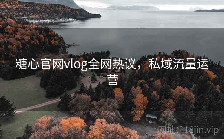 糖心官网vlog全网热议,私域流量运营 第2张 糖心官网vlog全网热议,私域流量运营 第2张