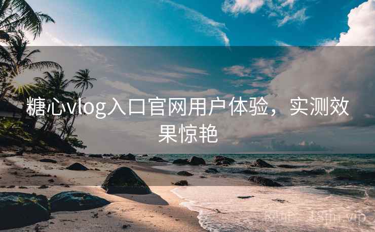 糖心vlog入口官网用户体验，实测效果惊艳